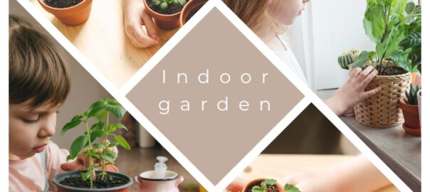 indoor garden